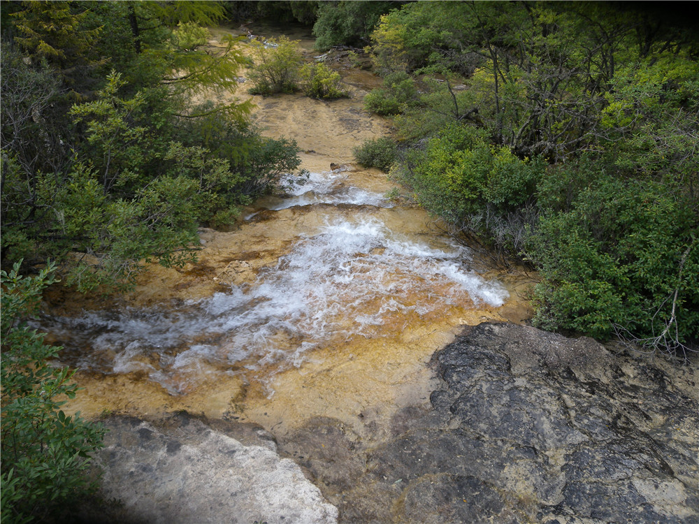 DSCN6830.jpg