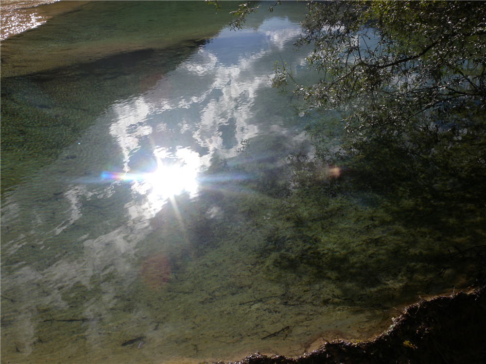 DSCN6818.jpg