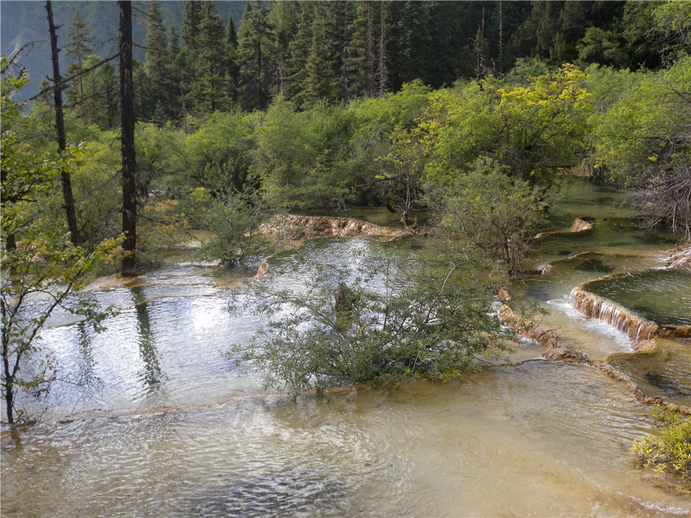 DSCN6832.jpg