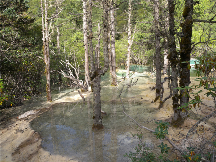 DSCN6773.jpg