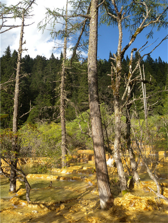 DSCN6834.jpg