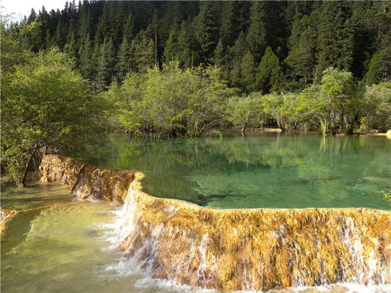 DSCN6836.jpg