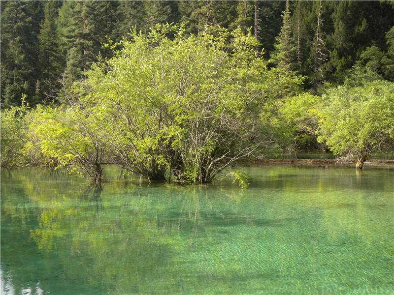 DSCN6835.jpg