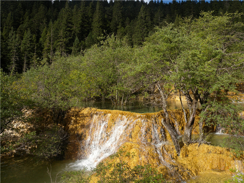 DSCN6837.jpg