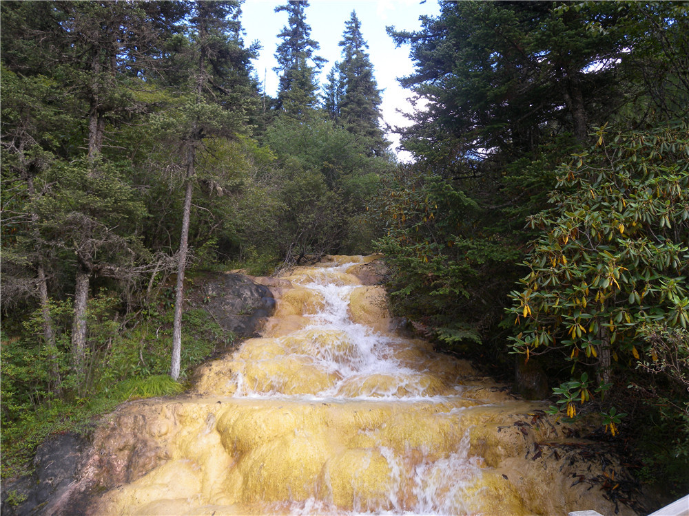 DSCN6858.jpg