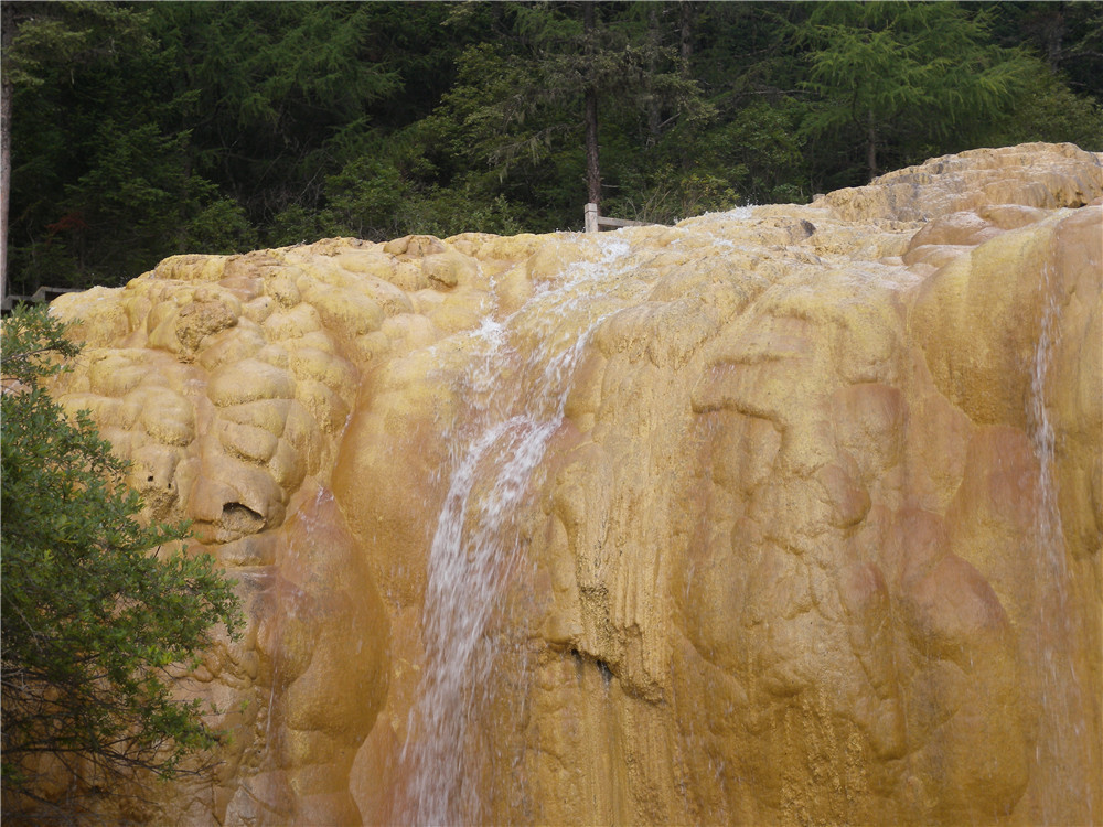 DSCN6852.jpg
