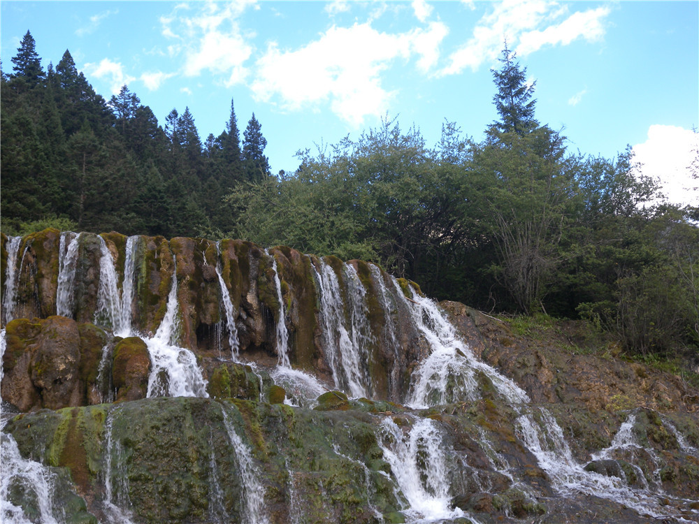 DSCN6865.jpg