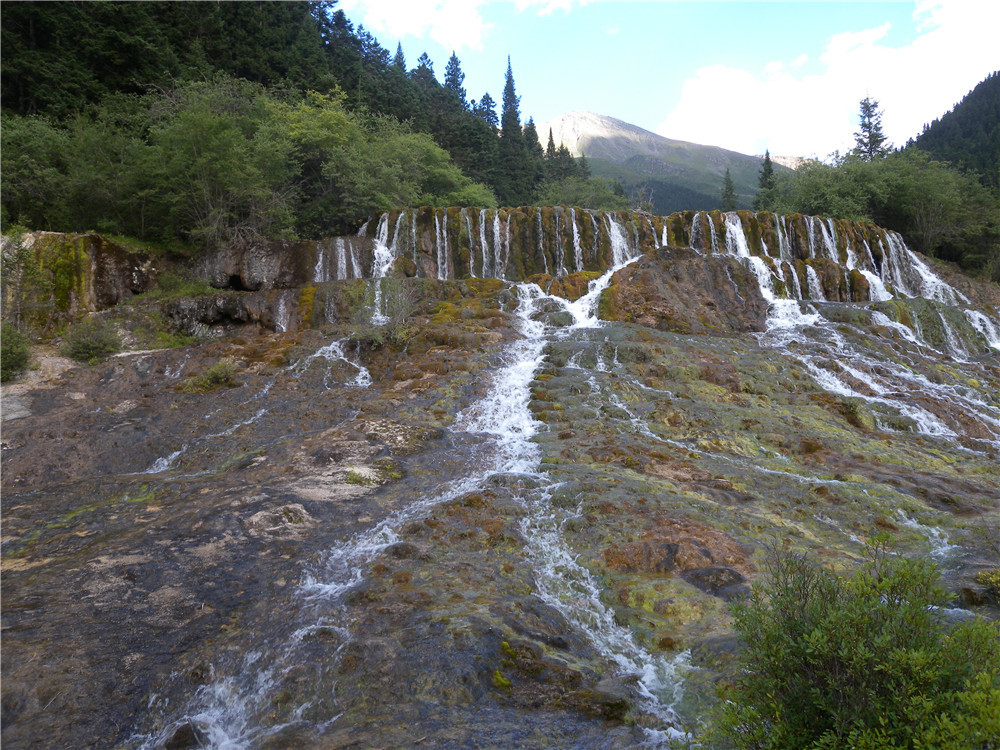 DSCN6866.jpg