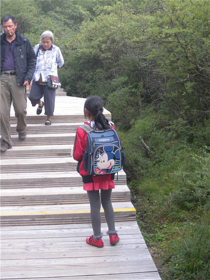 DSCN6734.jpg