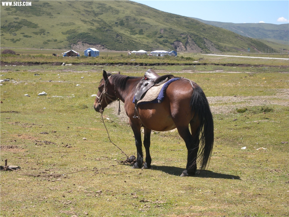 DSCN6887.jpg