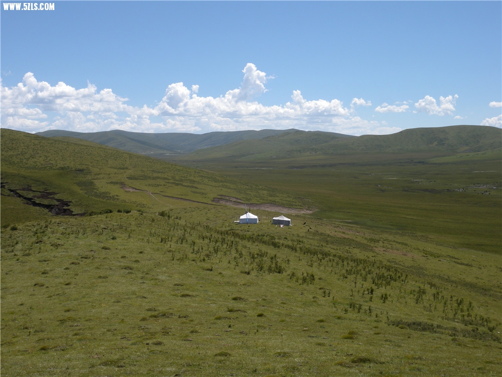 DSCN6894.jpg