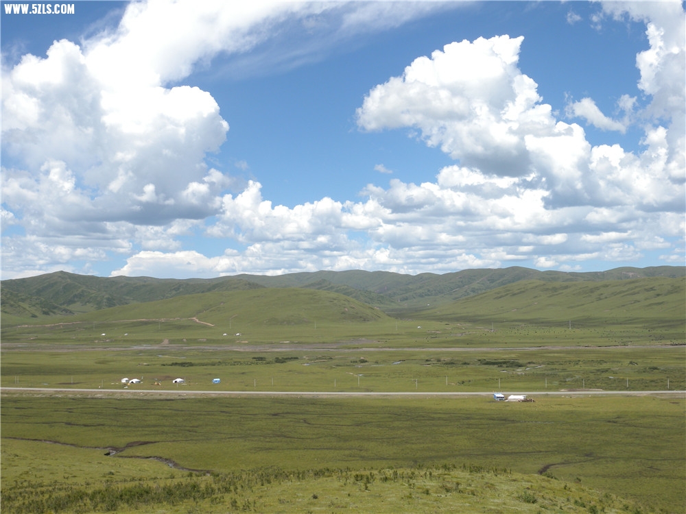 DSCN6912.jpg