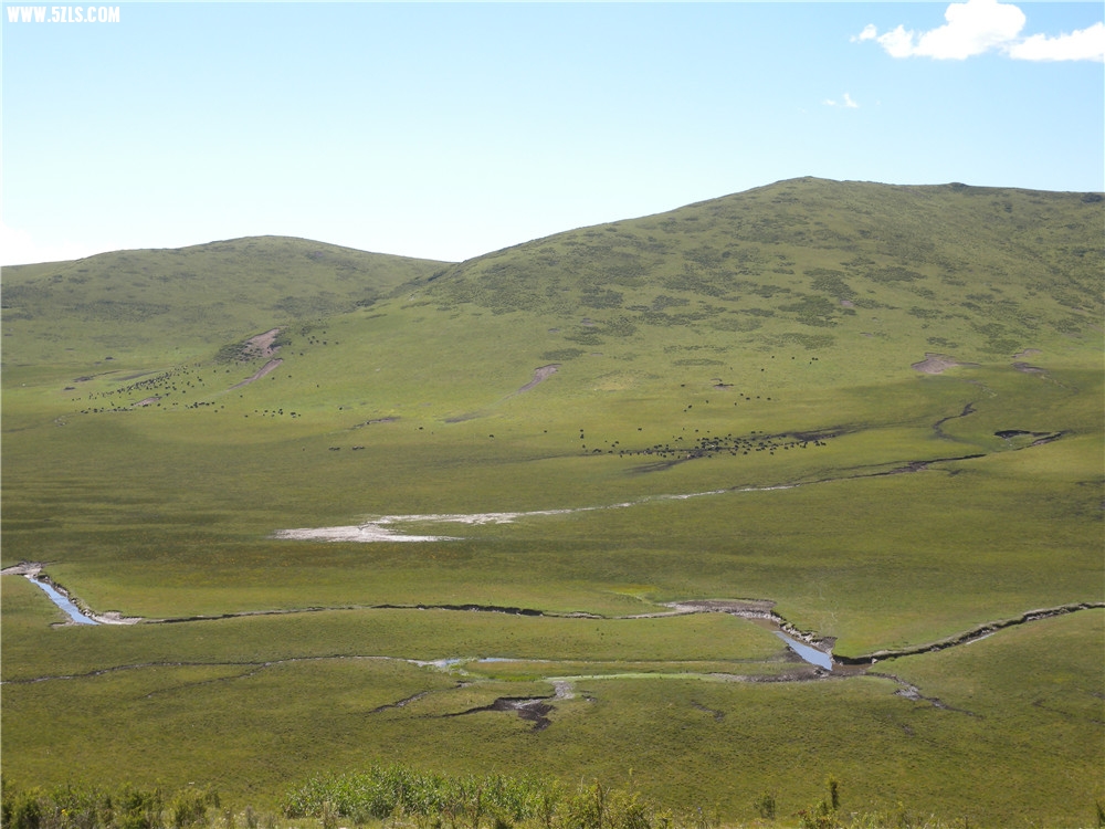DSCN6916.jpg