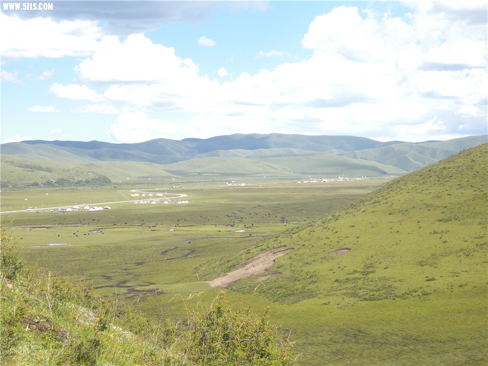 DSCN6906.jpg