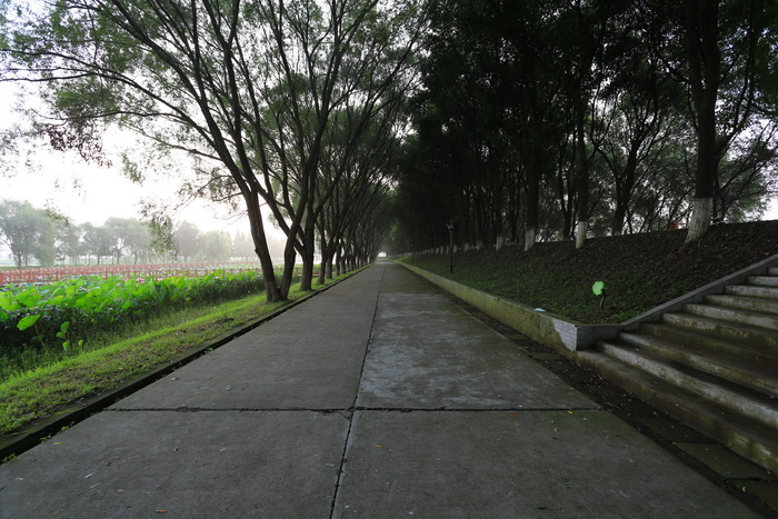 EX8A4927.JPG