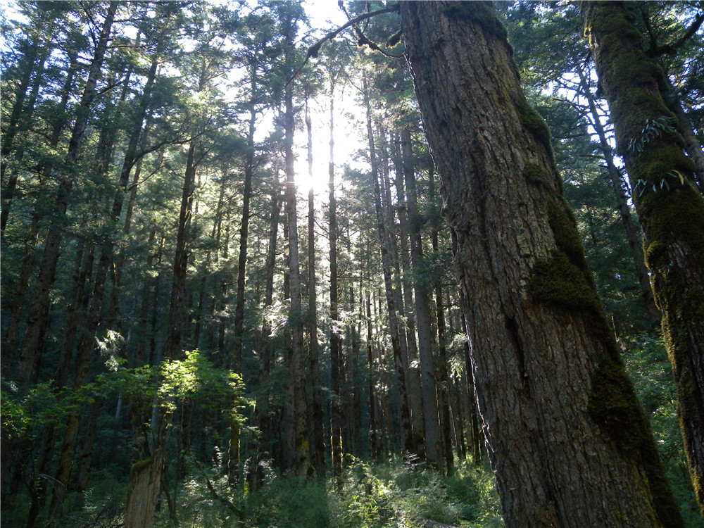 DSCN6955.jpg