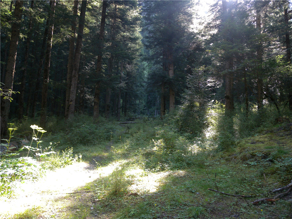 DSCN6949.jpg