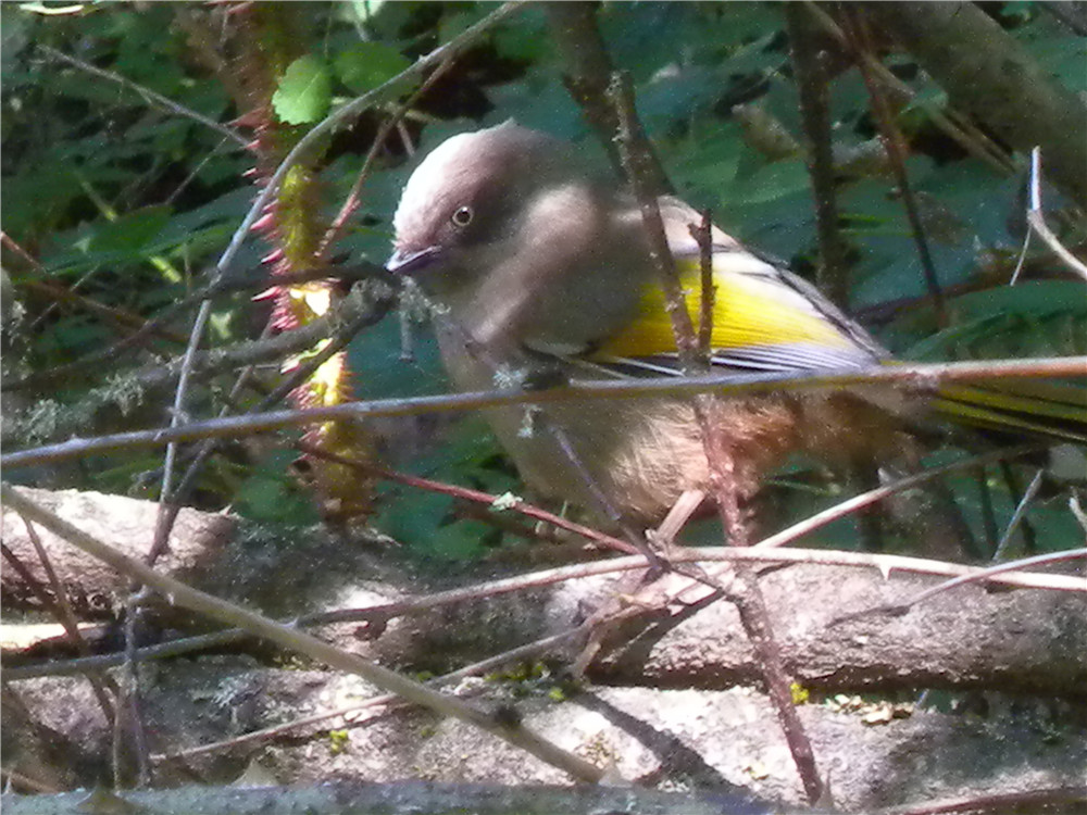 DSCN6975.jpg