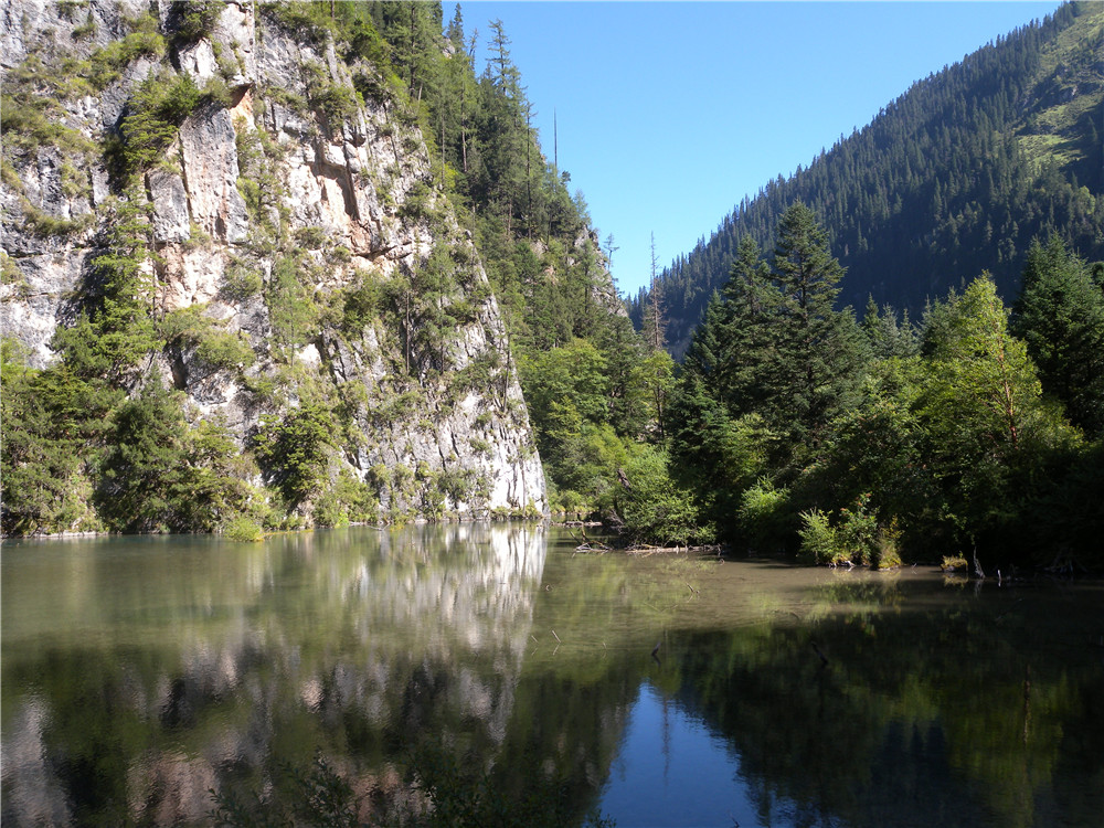 DSCN6978.jpg