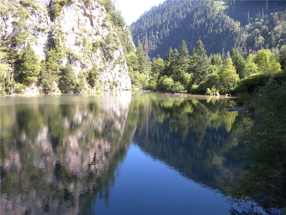 DSCN6983.jpg