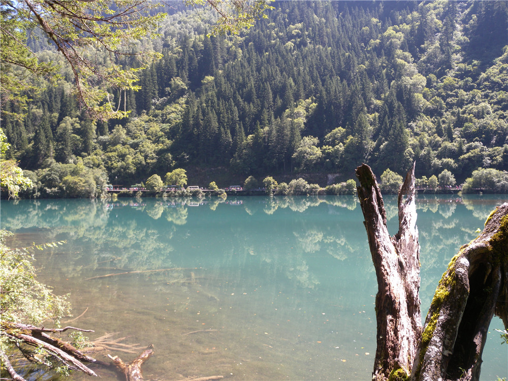 DSCN7013.jpg
