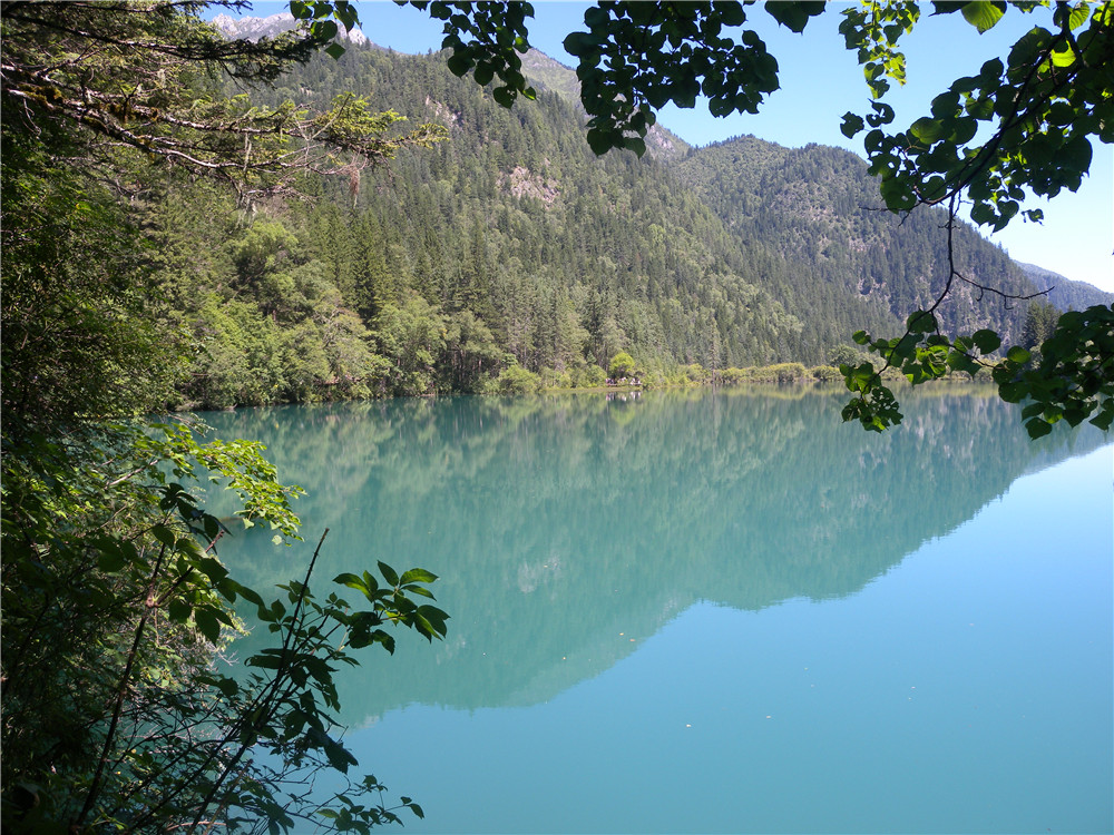 DSCN7014.jpg