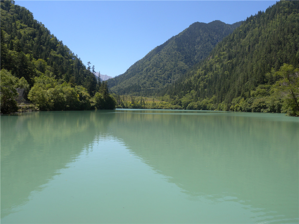 DSCN7037.jpg
