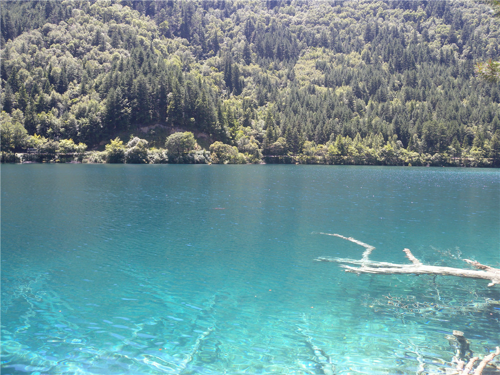 DSCN7081.jpg