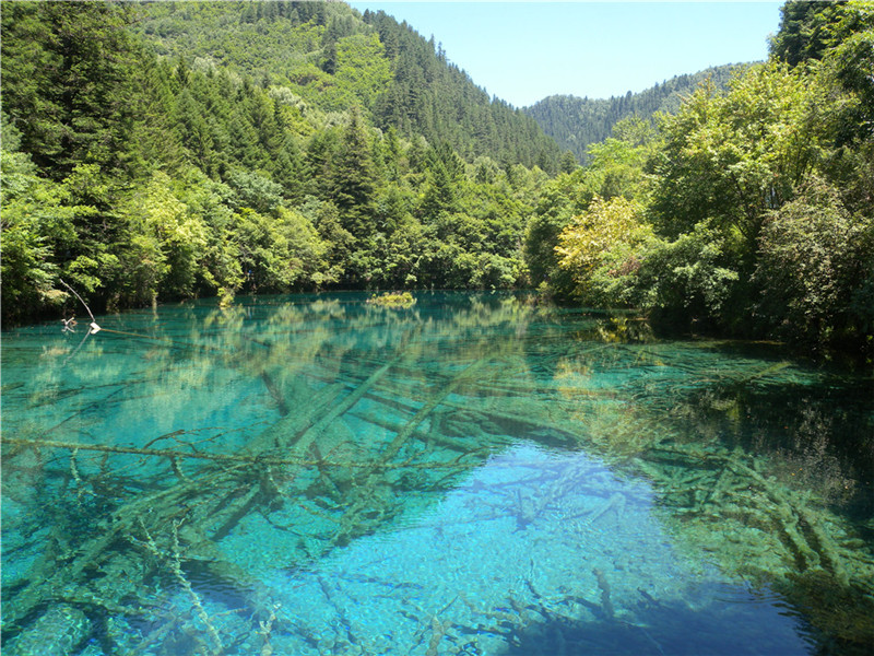 DSCN7048.jpg