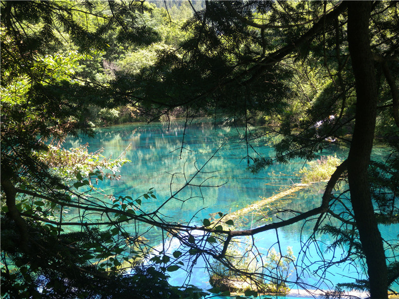 DSCN7049.jpg