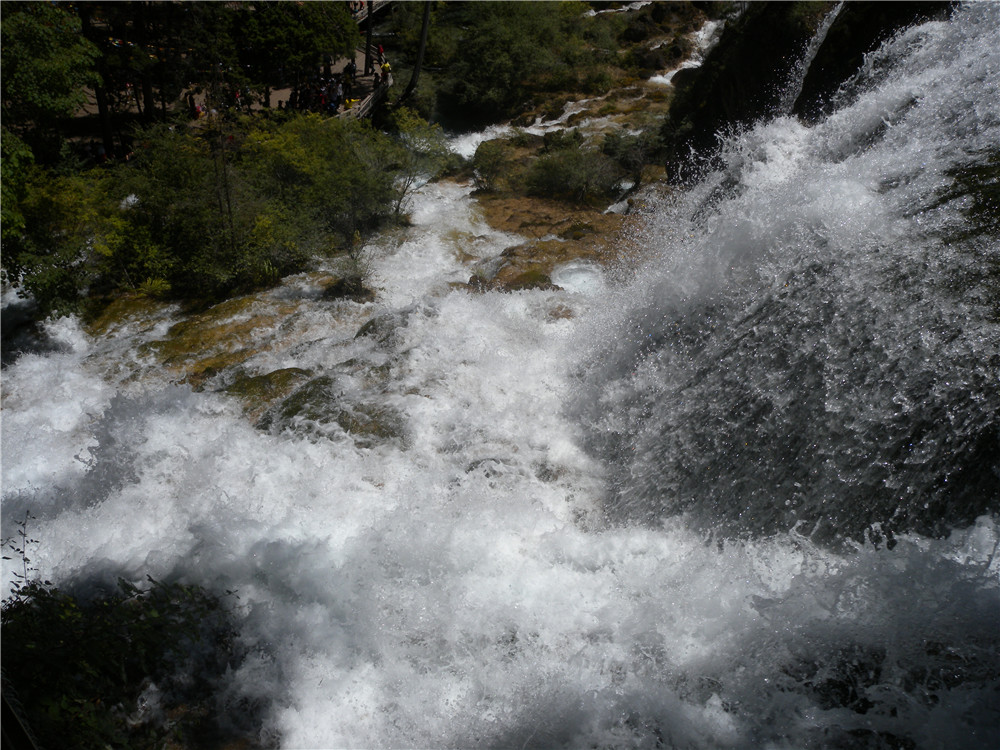 DSCN7056.jpg
