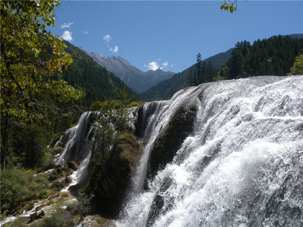 DSCN7057.jpg