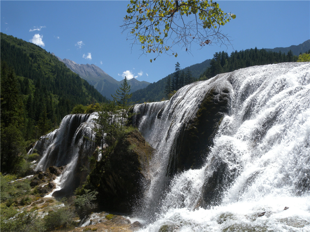DSCN7058.jpg