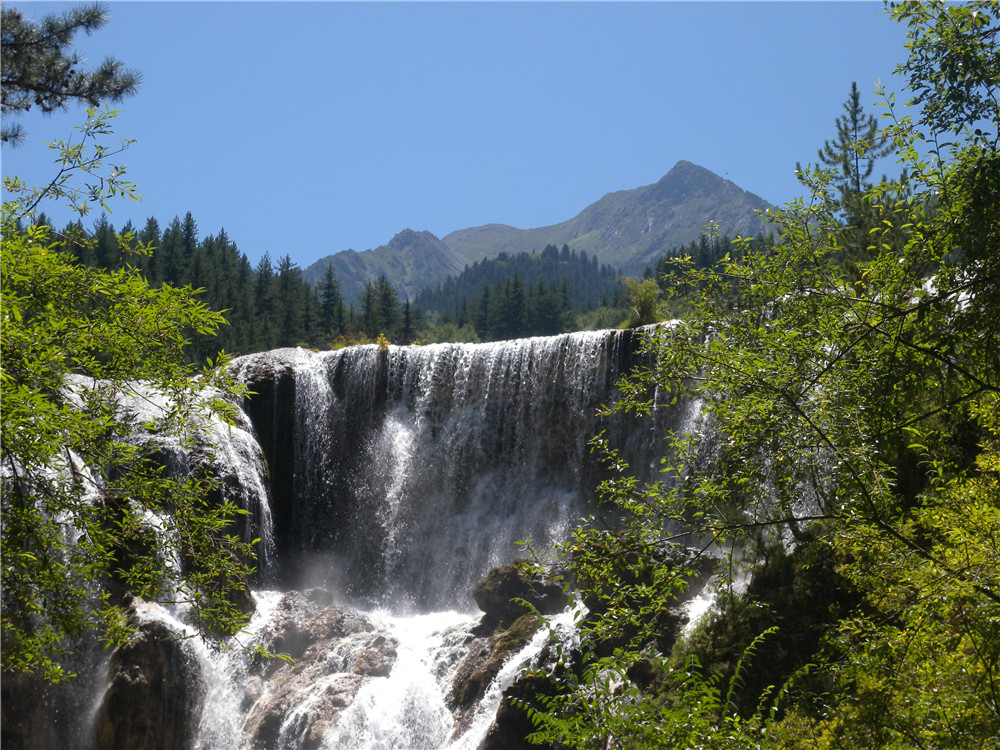 DSCN7059.jpg