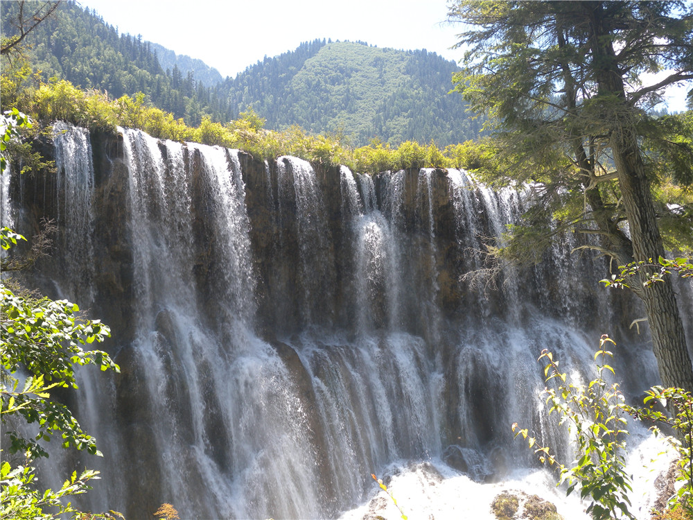DSCN7100.jpg