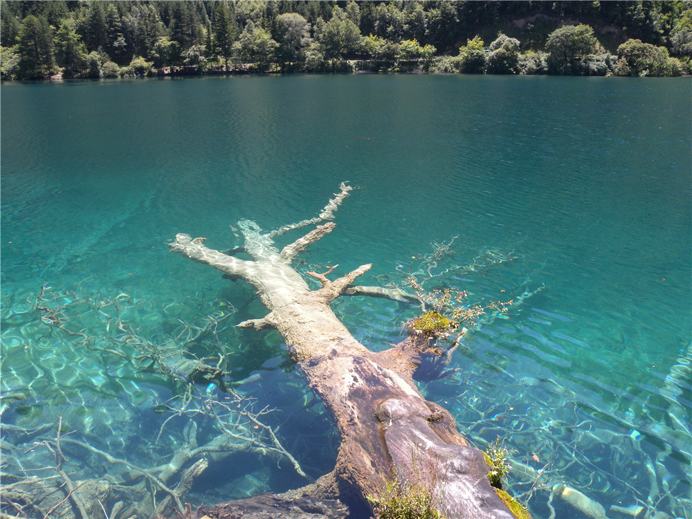 DSCN7080.jpg