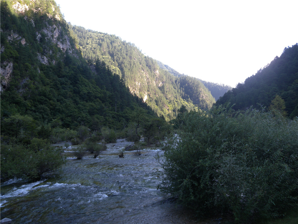 DSCN7134.jpg