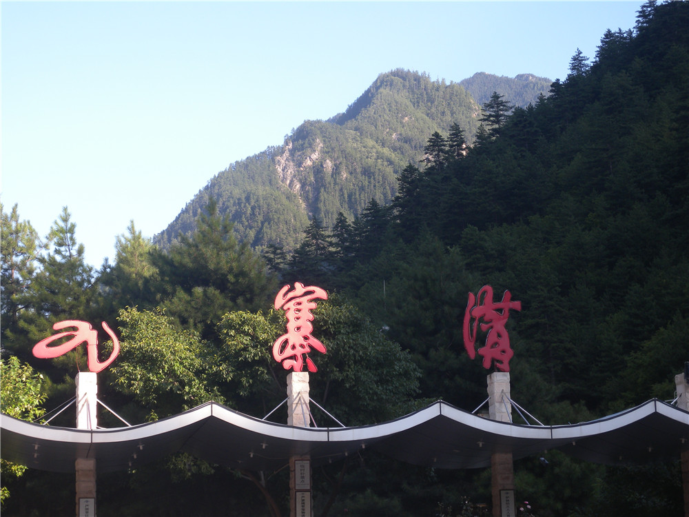 DSCN7136.jpg