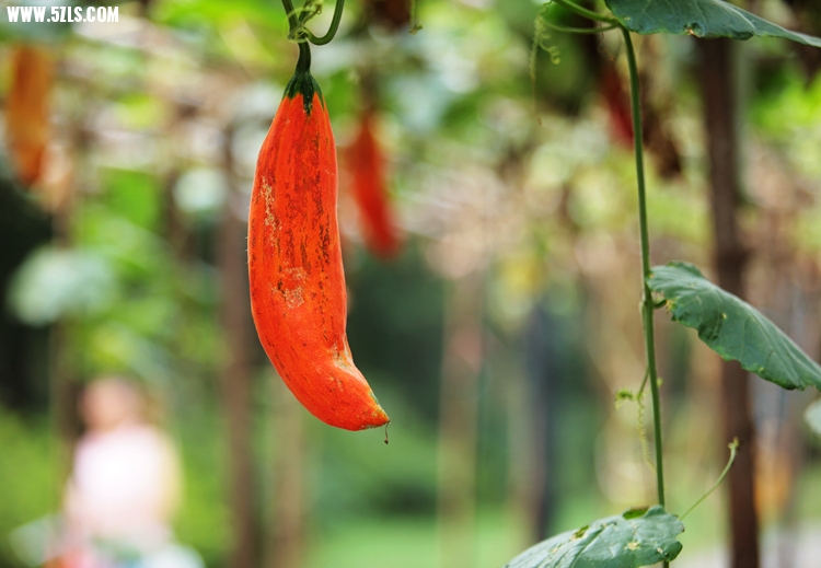 IMG_2776_����.jpg