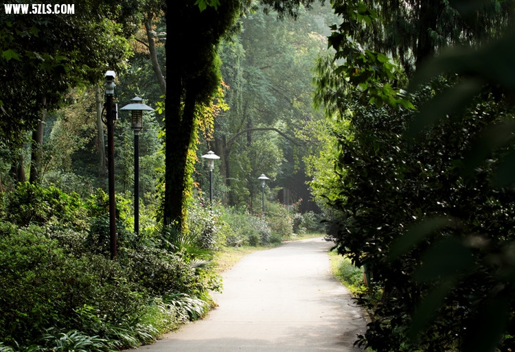 IMG_2779_����.jpg