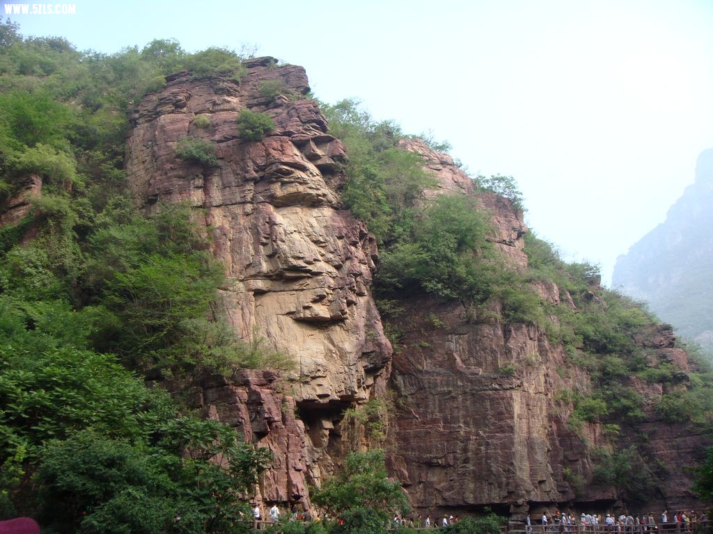 DSC00572.jpg
