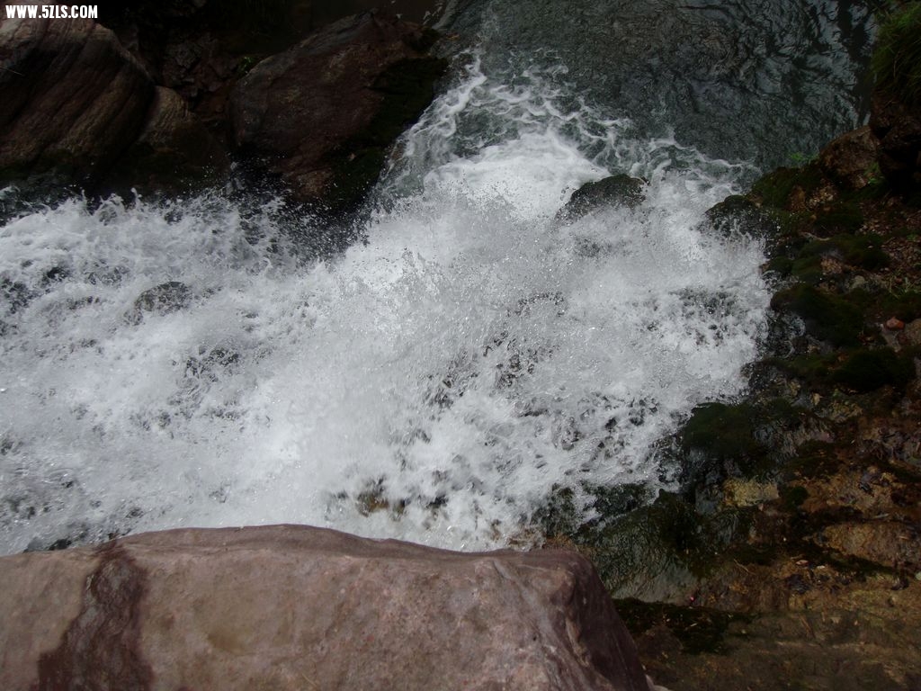 DSC00591.jpg
