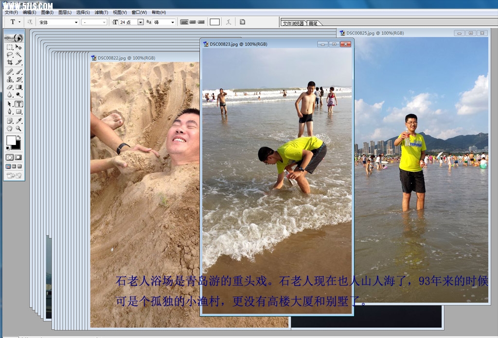 DSC00799.jpg