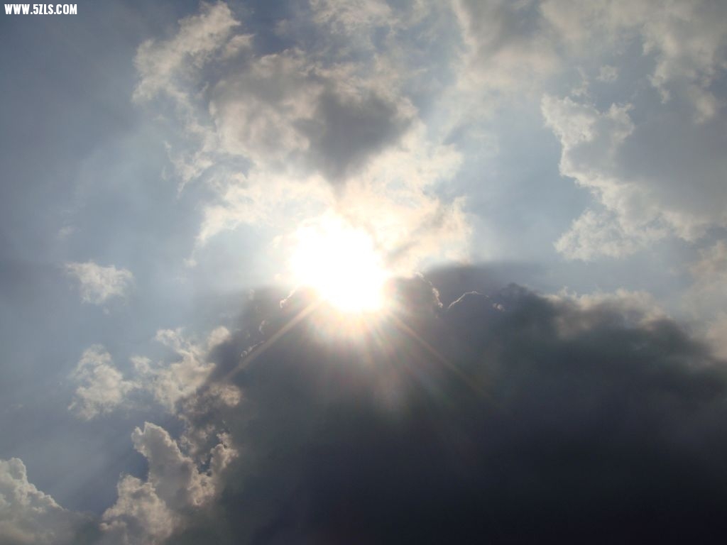 DSC00810.jpg