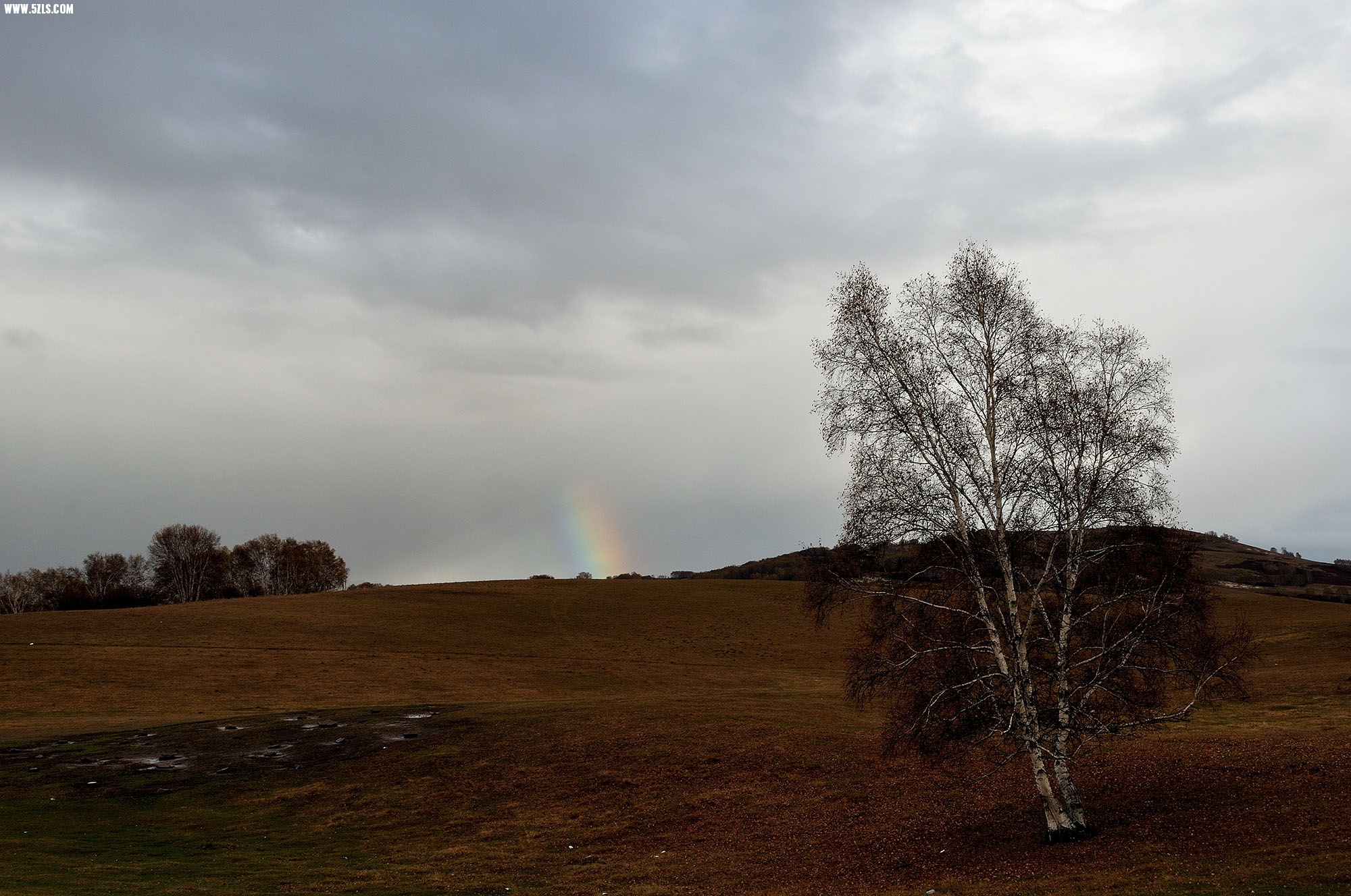 DSC_0813.jpg