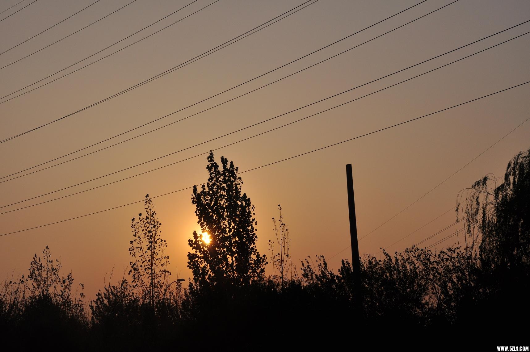 DSC_0353.JPG