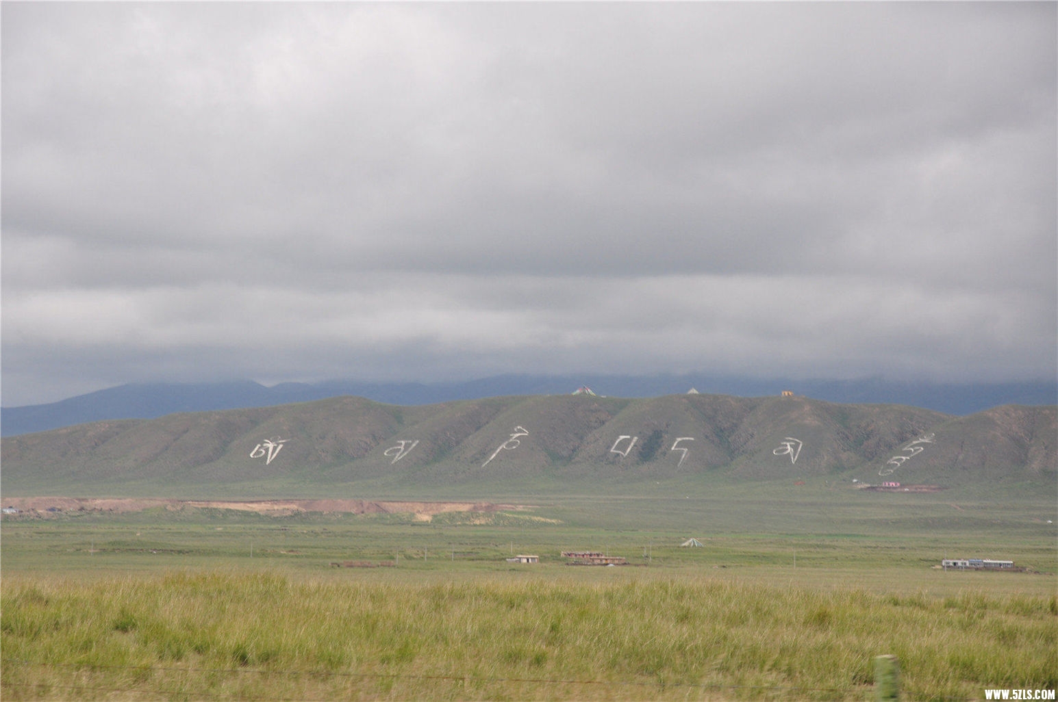 DSC_1176.JPG