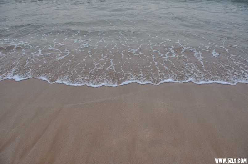DSC_0859_����.jpg