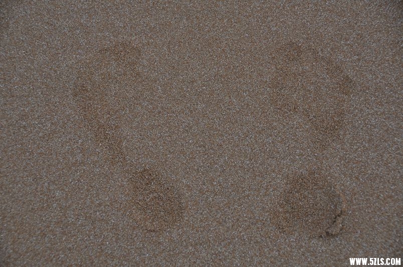 DSC_0862_����.jpg