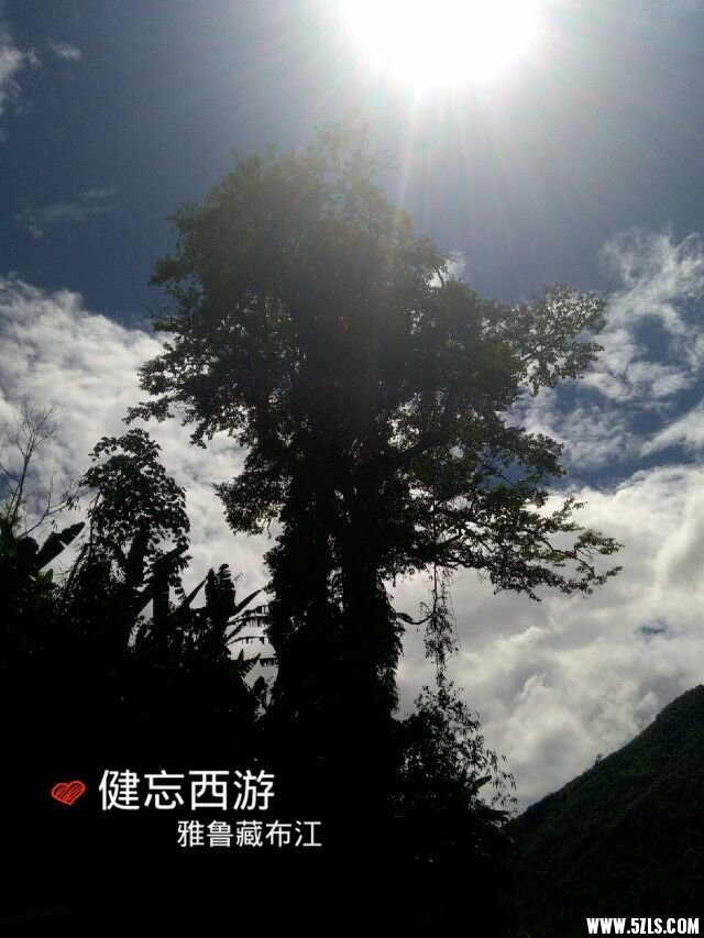 20149317203881627.jpg
